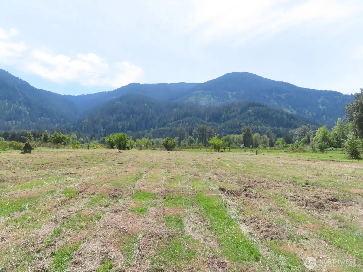 295 River Ranch Road, Randle, WA 98377 - #1