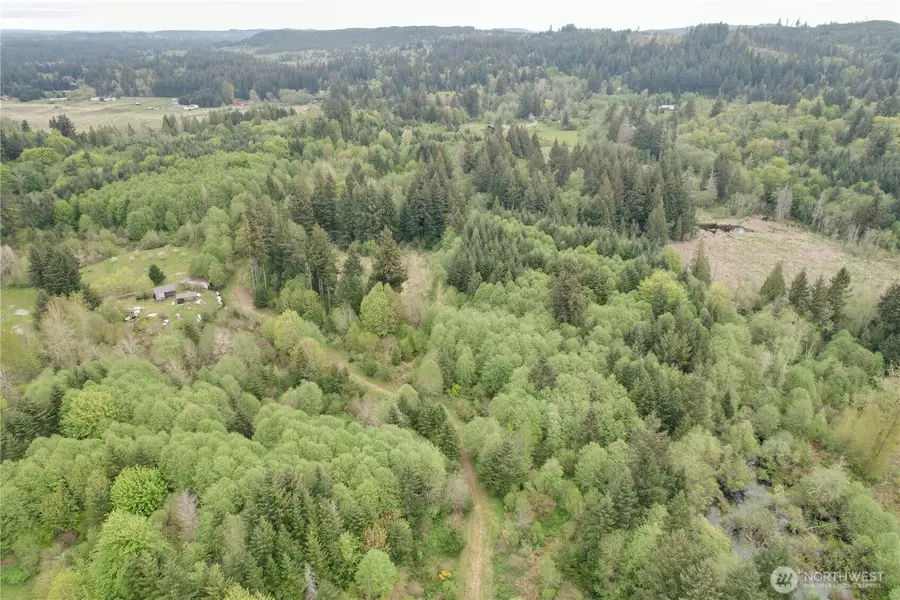 0 40 Acres 143rd Avenue Se, Tenino, WA 98589 - #3