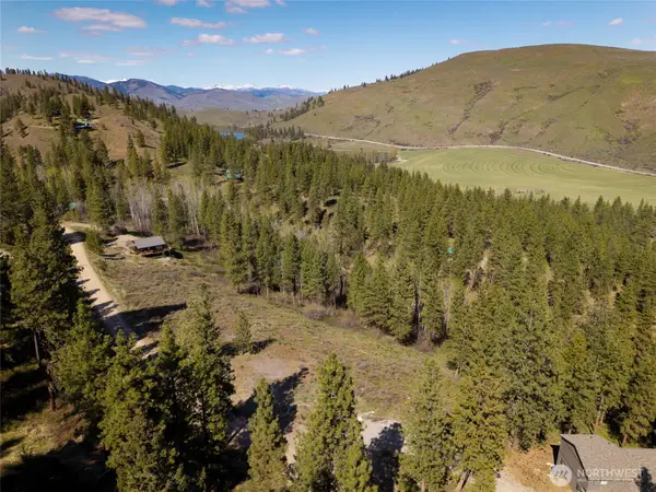 48 Whitebark Lane #70, Winthrop, WA 98862