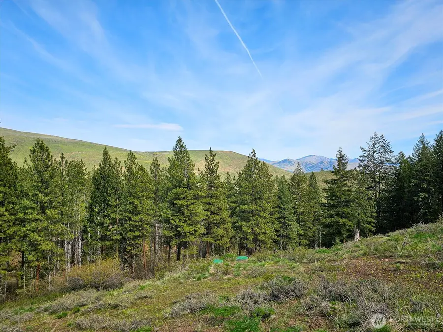 48 Whitebark Lane #70, Winthrop, WA 98862 - #2