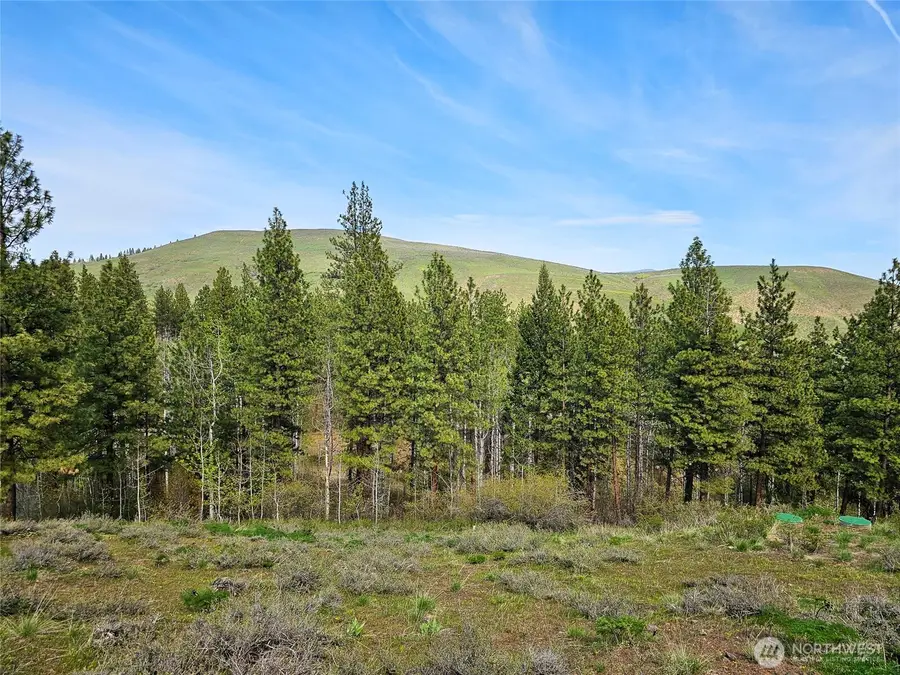 48 Whitebark Lane #70, Winthrop, WA 98862 - #3