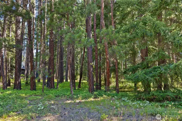 0 S Lake Cabins Road #10, Ronald, WA 98940