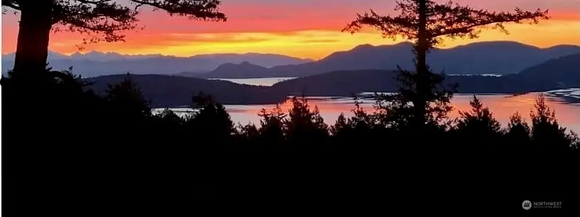 726 Pine Ridge Drive, Orcas, WA 98279 - #3