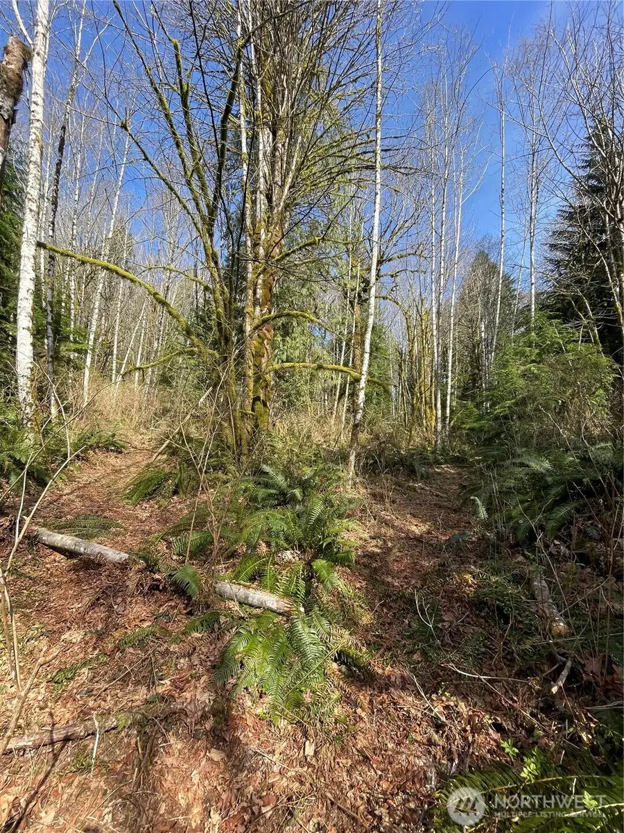 Address Withheld By Seller, Arlington, WA 98223 - #3