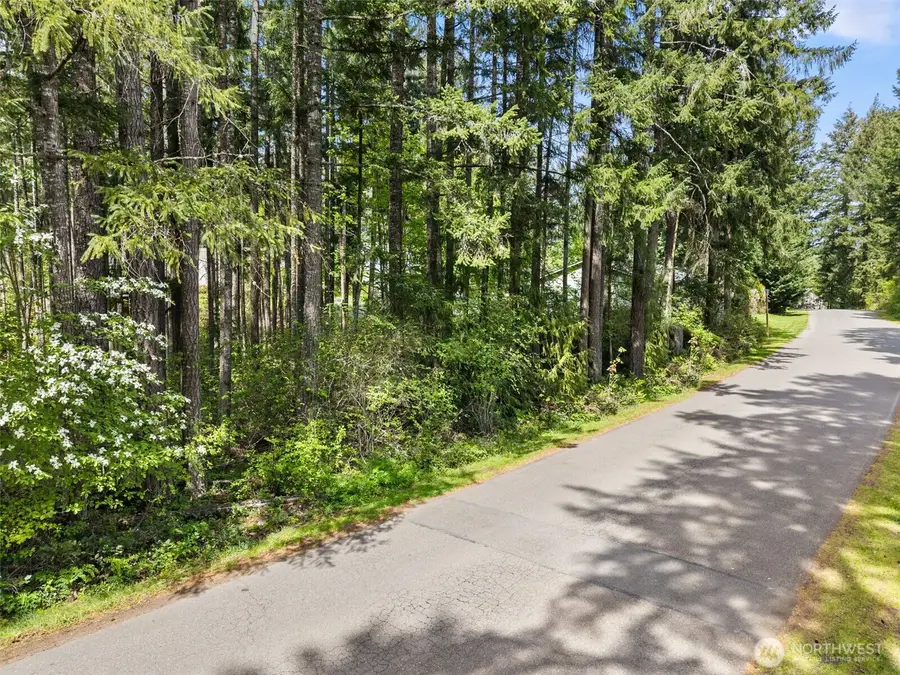 18336 E Clear Lake Blvd Se, Yelm, WA 98597 - #2