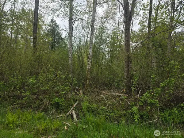 0 Shorewood Lane, Bellingham, WA 98226