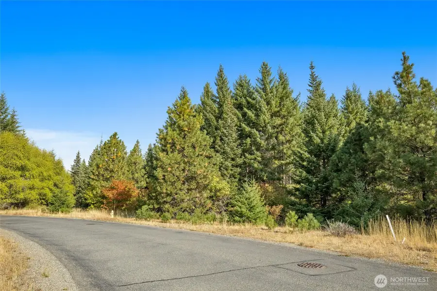321 Goat Creek Lane #8, Cle Elum, WA 98922 - #3