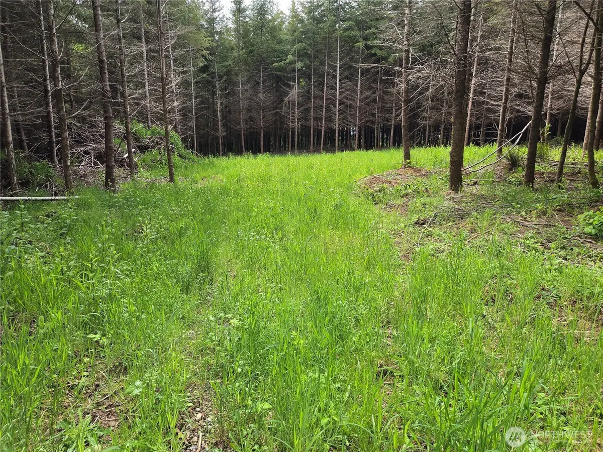 7 Beaver Hill Lane #8, Montesano, WA 98563 - #1