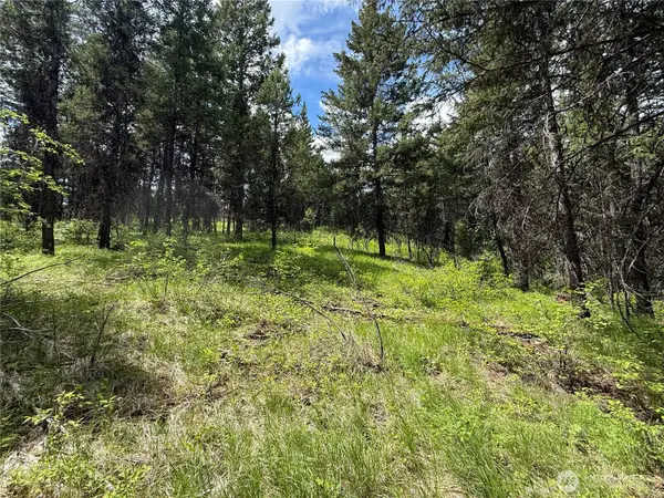 0 Knob Hill Road E #175, Republic, WA 99166