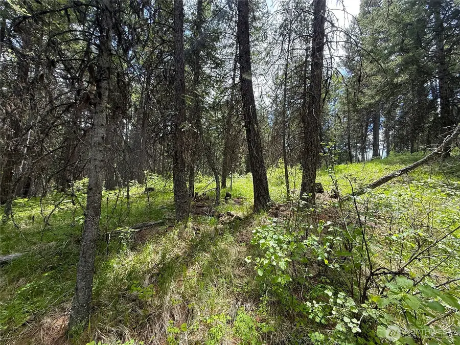 0 Knob Hill Road E #175, Republic, WA 99166 - #2