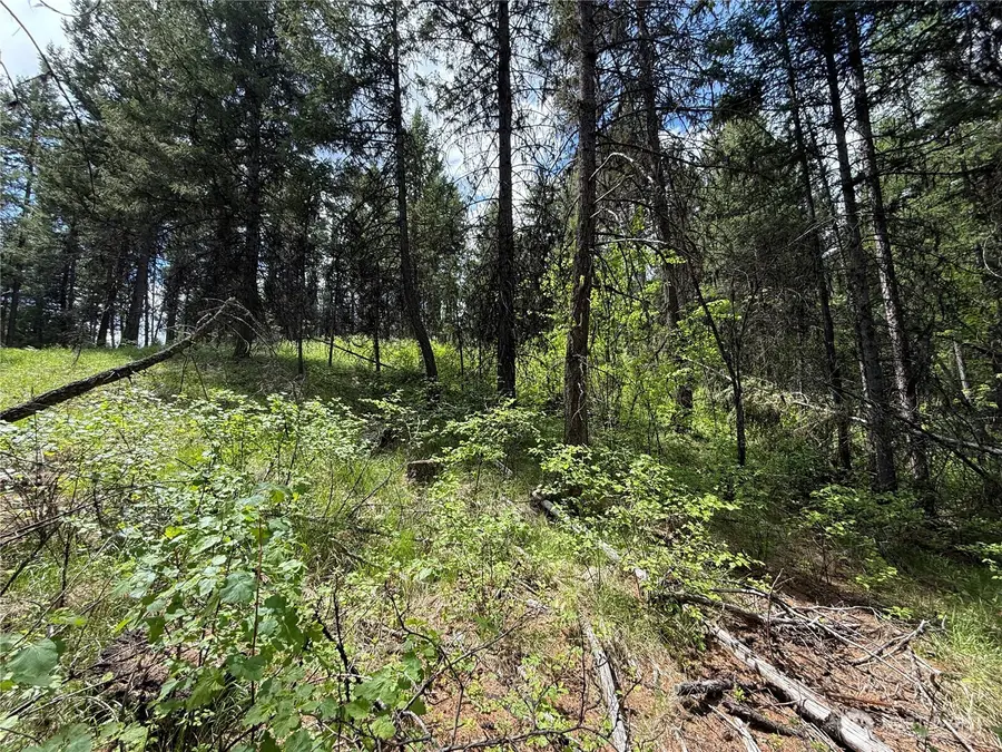 0 Knob Hill Road E #175, Republic, WA 99166 - #3