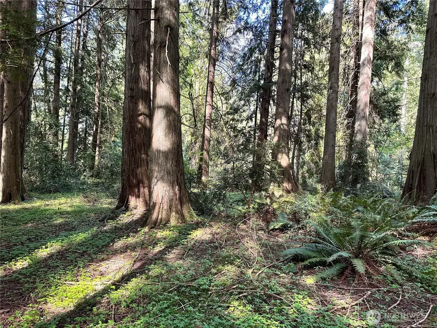 0 NW Lakeness #031, Poulsbo, WA 98370 - #2