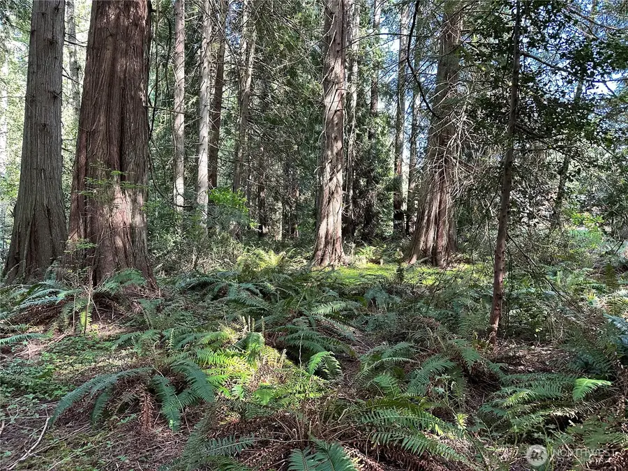 0 NW Lakeness #031, Poulsbo, WA 98370 - #3