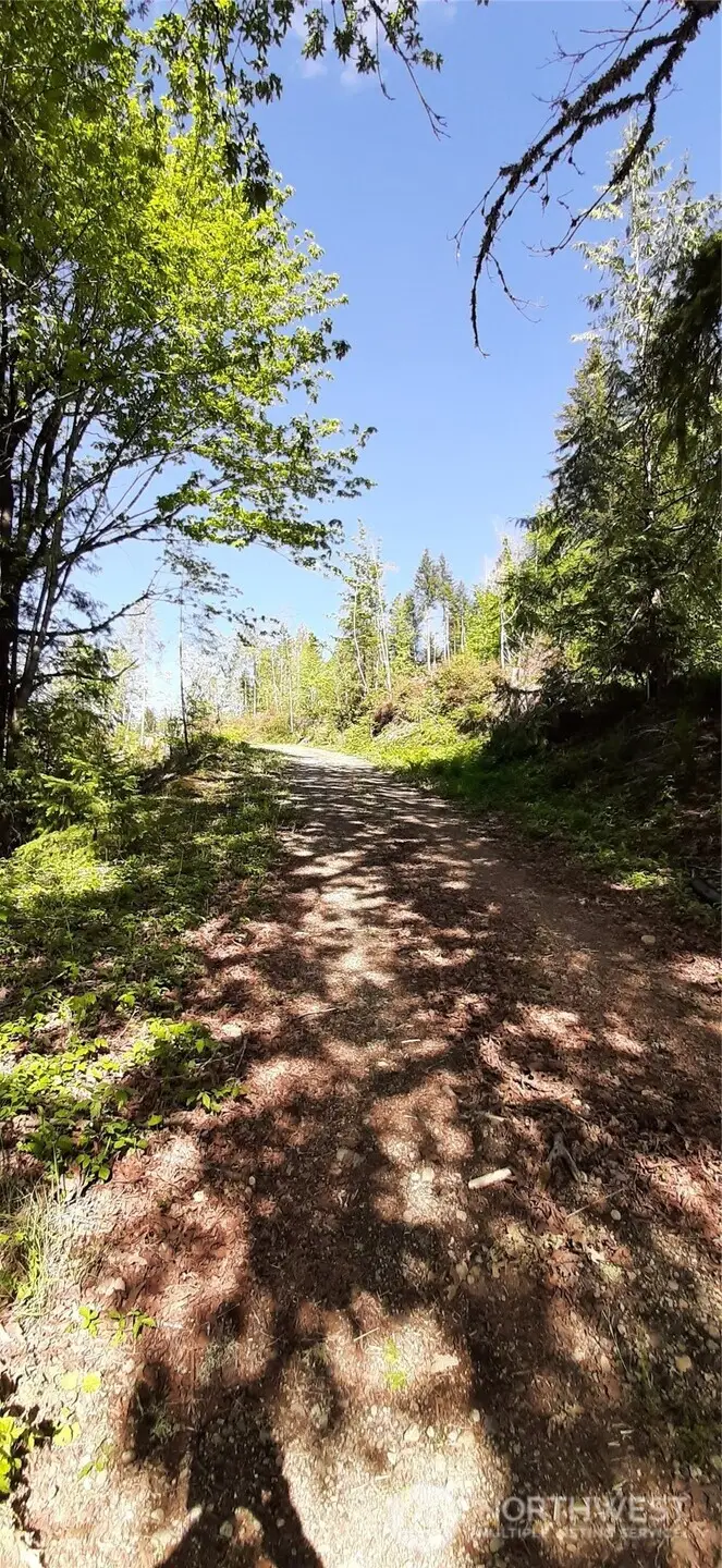 101 NE Wj Way #00941, Belfair, WA 98528 - #2