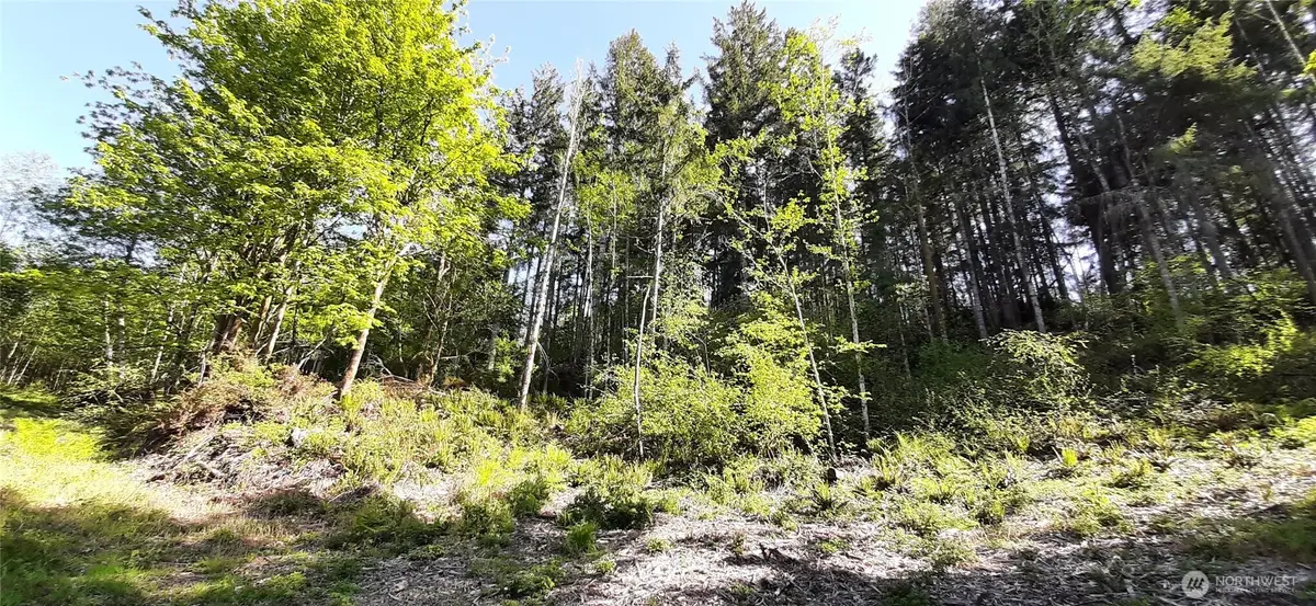 301 NE Wj Way #00939, Belfair, WA 98528 - #1
