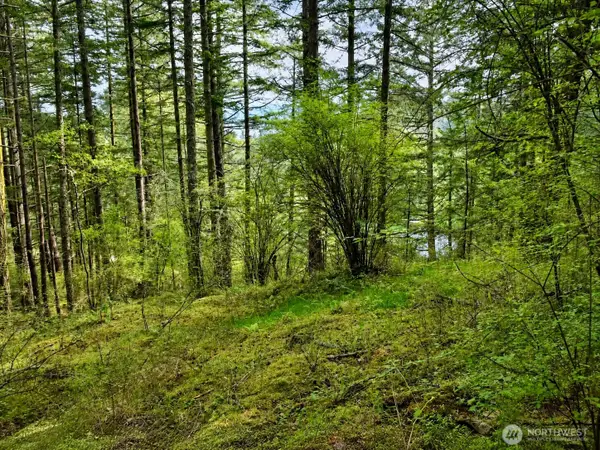 0 Garden Lane #PR LT 11 & PR LT 10 LT 11, Orcas Island, WA 98279