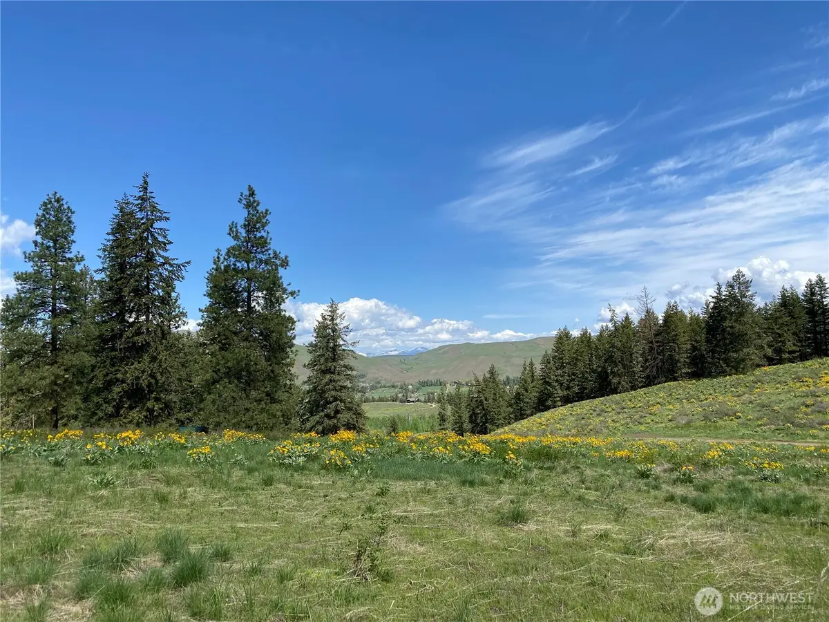 102 Elbow Canyon Road, Twisp, WA 98856 - #1