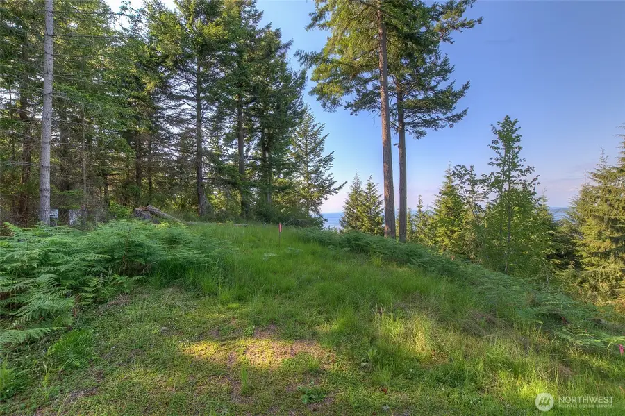 41 Raven Lane #41, Olga, WA 98279 - #2