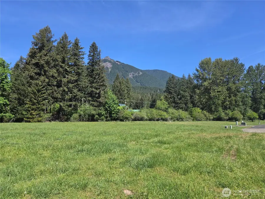 127 Campfire Lane #6, Packwood, WA 98361 - #2