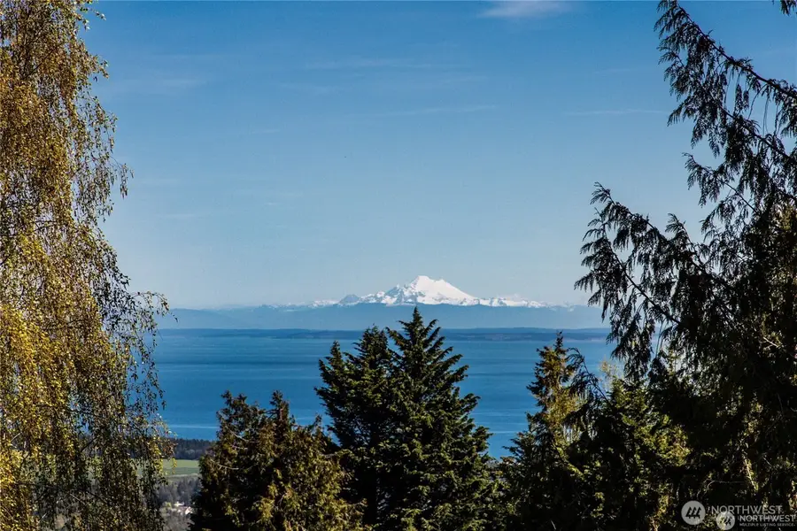 315 Quails Roost Road, Sequim, WA 98382 - #3