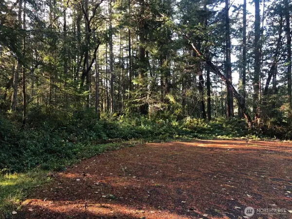 9501 116th Avenue Ct, Anderson Island, WA 98303