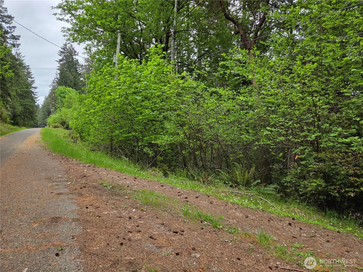181 E Peale Drive #219015000063, Shelton, WA 98584 - #1
