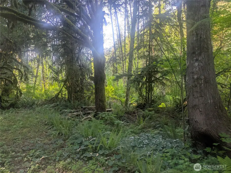 63323 W Cascade Way #19, Marblemount, WA 98267 - #3