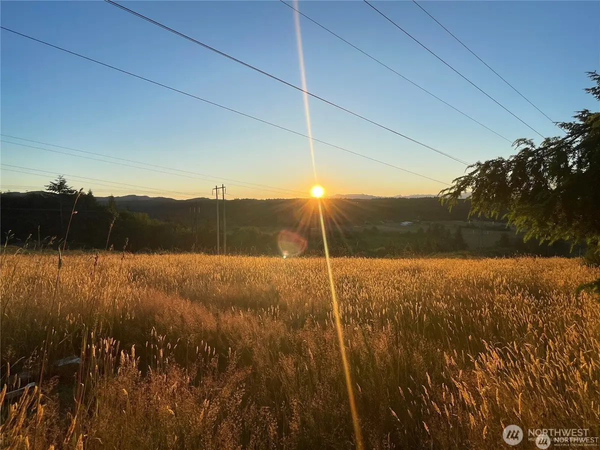 890 Wynwood Drive, Shelton, WA 98584 - #1