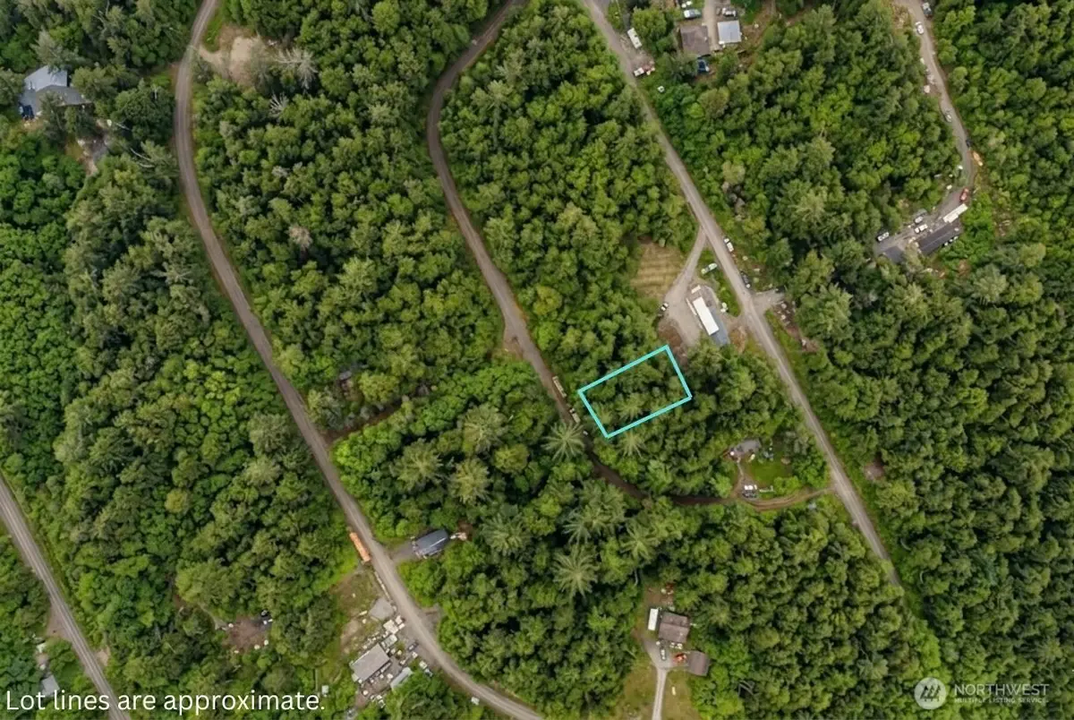 0 Hummingbird Drive, Taholah, WA 98587 - #1