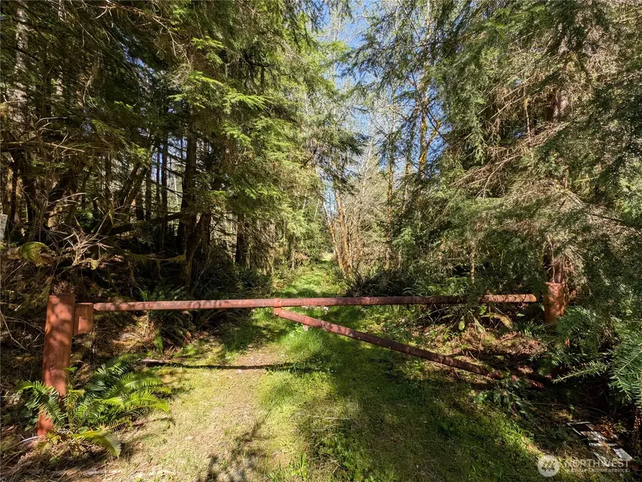 999 Hoh River Park Drive, Forks, WA 98331 - #3