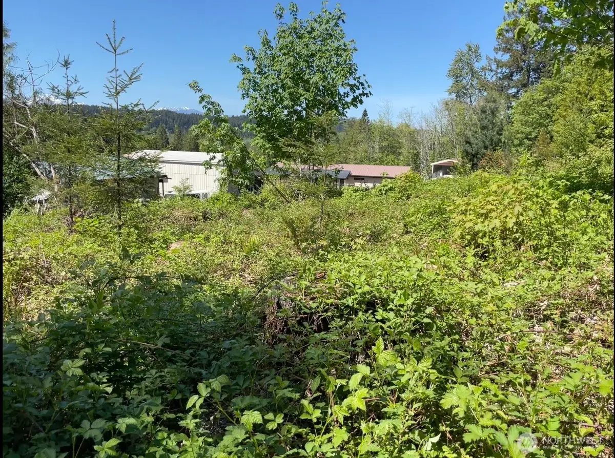 0 State Route 3 #49, Belfair, WA 98528 - #1