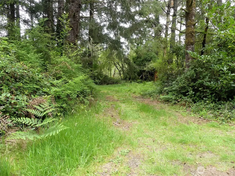 14001 Birch Street, Long Beach, WA 98631 - #3