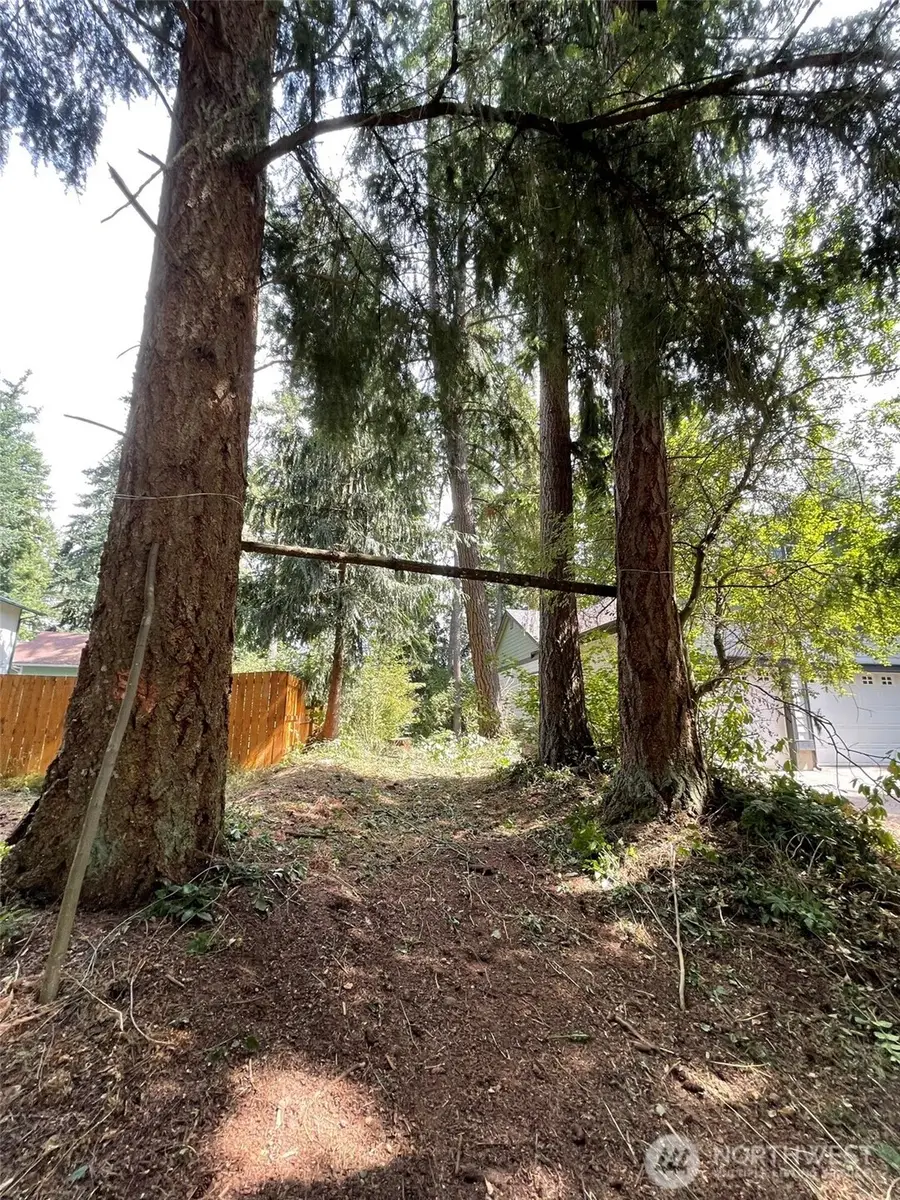 17616 SE Vine Ln, Yelm, WA 98597 - #3