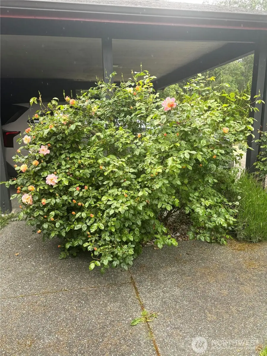 431 Fasola, Sequim, WA 98382 - #3
