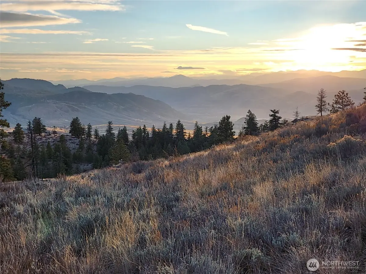 0 Blue Grouse (div 5, Lot 42) #42, Oroville, WA 98844 - #1