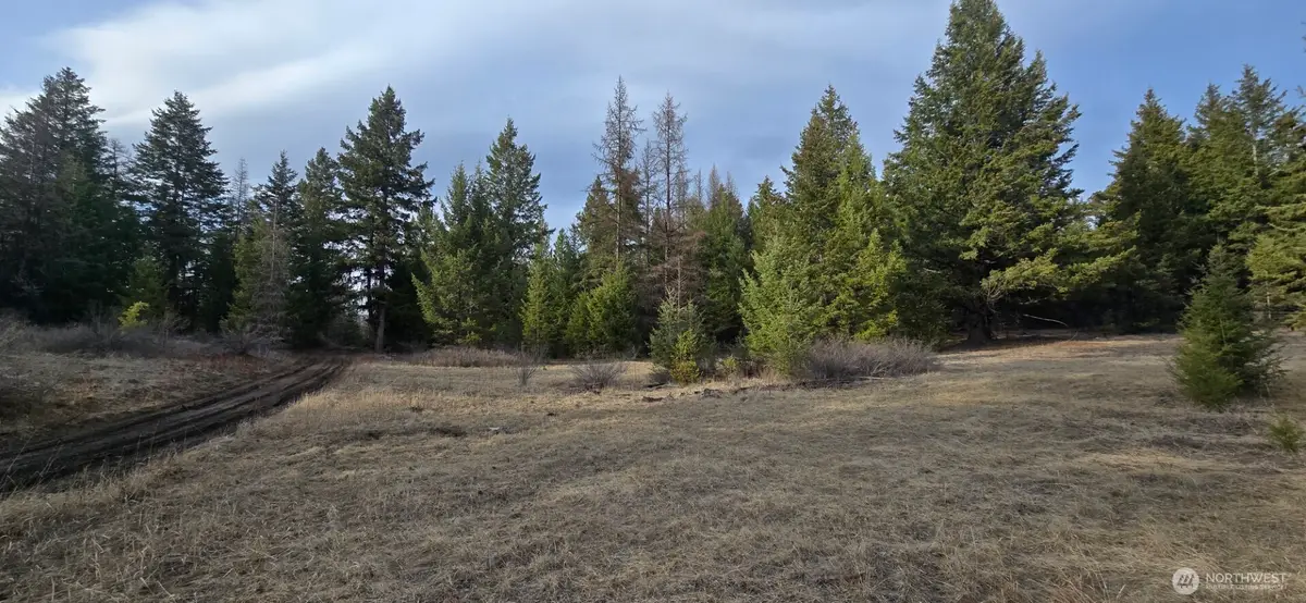 99 Prior Loop Road, Oroville, WA 98844 - #1