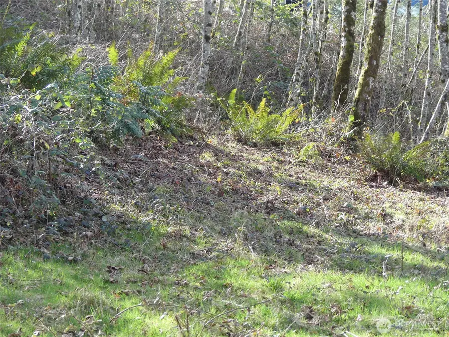 0 Horizon Drive #3, Kalama, WA 98625 - #3