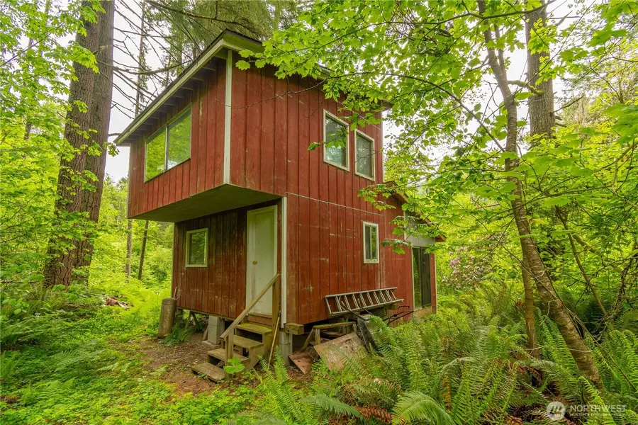 0 Carr Road, White Pass, WA 98937 - #2