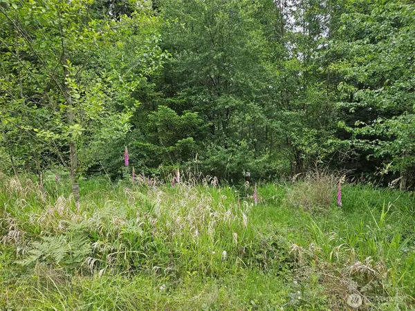 5033 Polehn Road Sw, Rochester, WA 98579