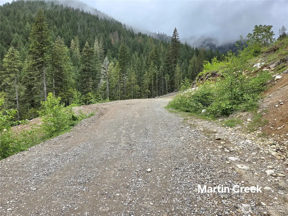 6710 6710 Martin Creek, Skykomish, WA 98288 - #1