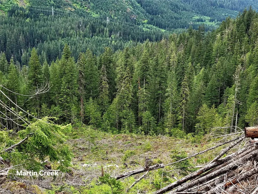 6710 6710 Martin Creek, Skykomish, WA 98288 - #3