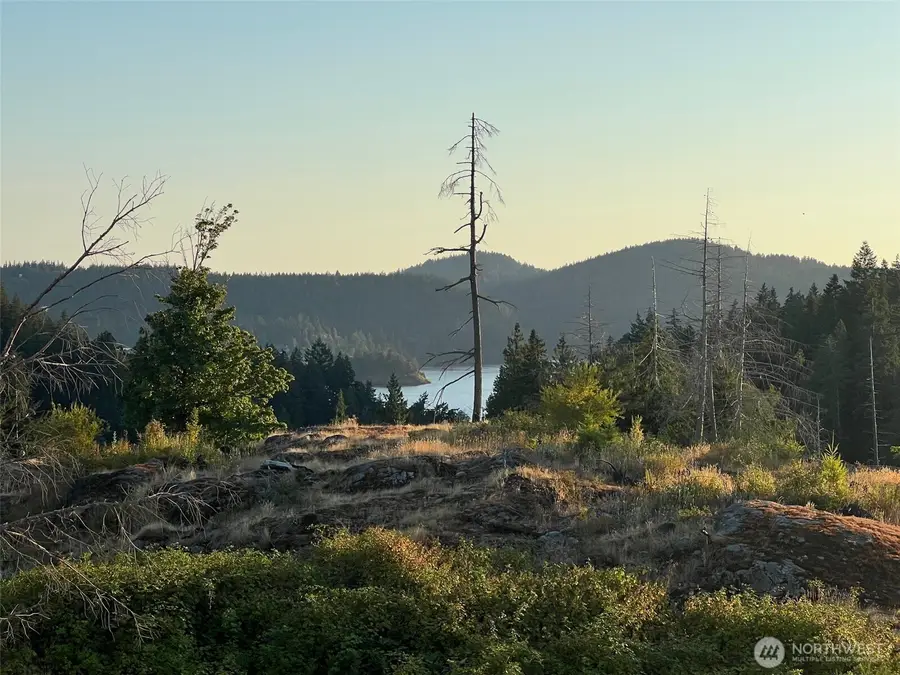 7006 State Route 20, Anacortes, WA 98221 - #2