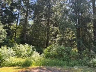 0 441st Avenue Se, North Bend, WA 98045 - #1