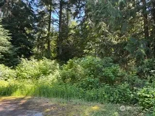 0 441st Avenue Se, North Bend, WA 98045 - #3
