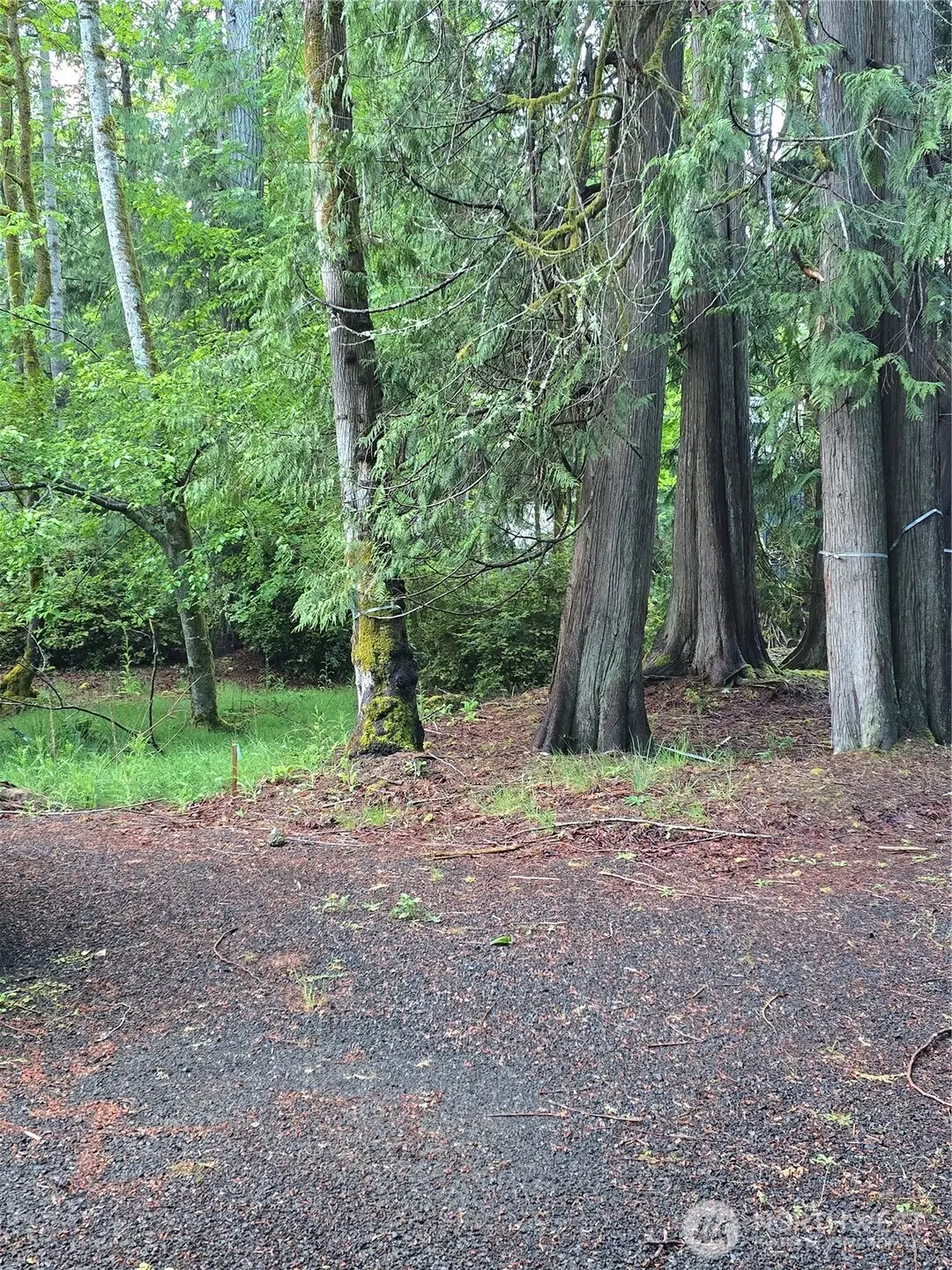 441 E Pointes Drive E #71, Shelton, WA 98584 - #1