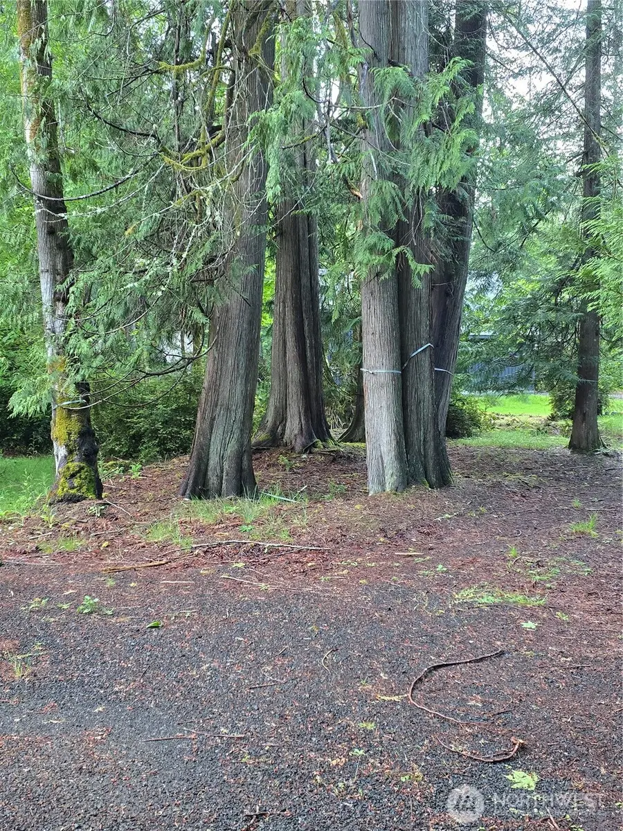 441 E Pointes Drive E #71, Shelton, WA 98584 - #3