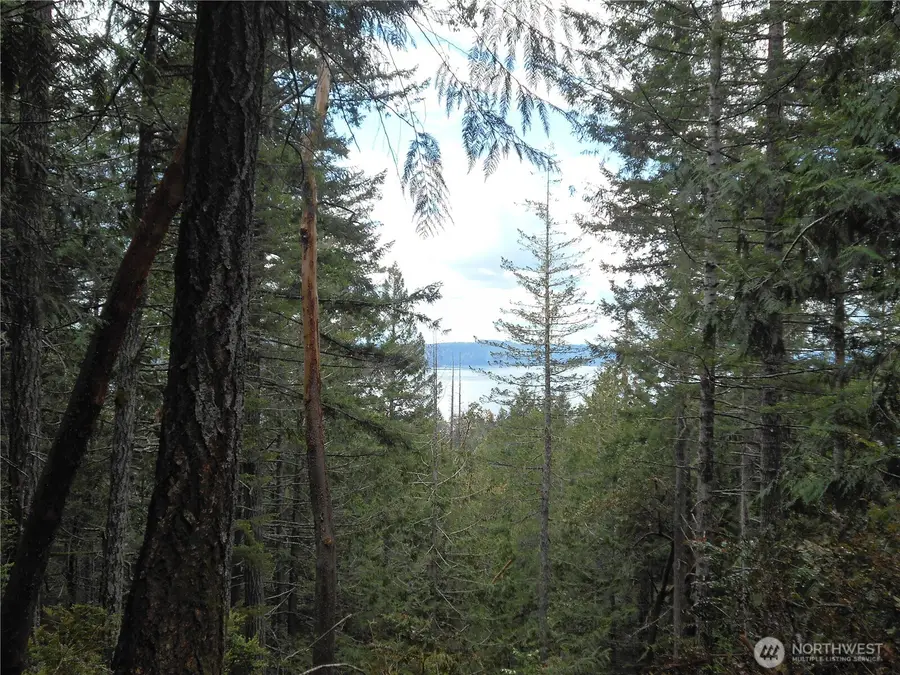 0 Yashi Road #1-21, Brinnon, WA 98320 - #3