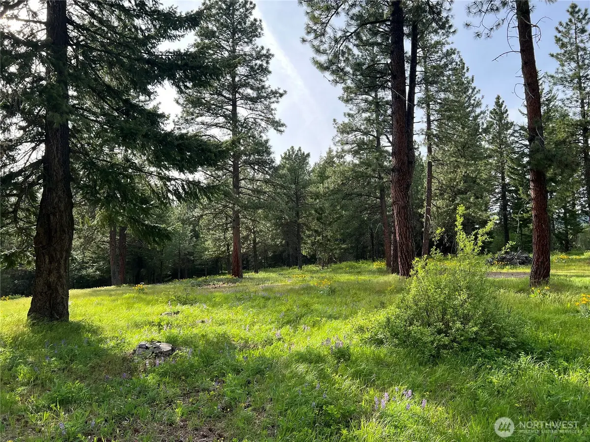 740 Sun Ridge Drive #1, Cle Elum, WA 98922 - #1