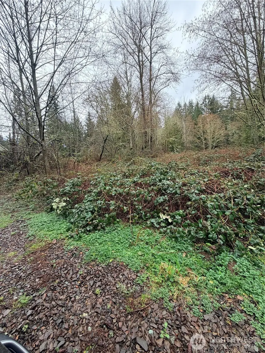 0 238th Avenue Ne, Redmond, WA 98053 - #3