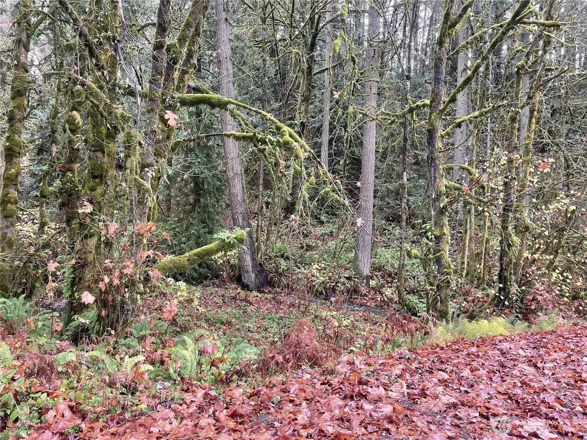 0 Wa 505, Toledo, WA 98591 - #1